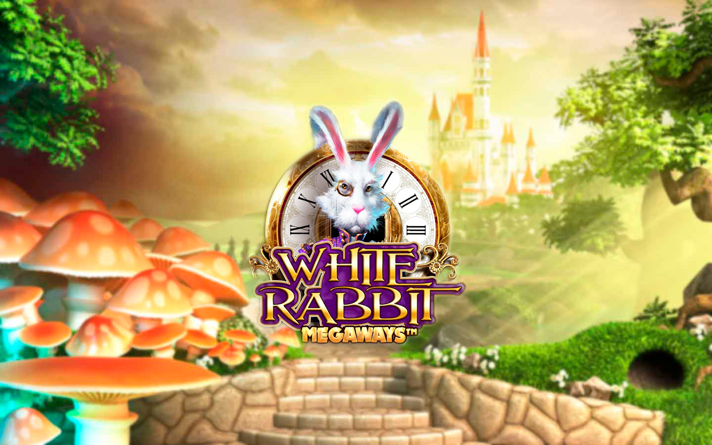 White rabbit family карта лояльности