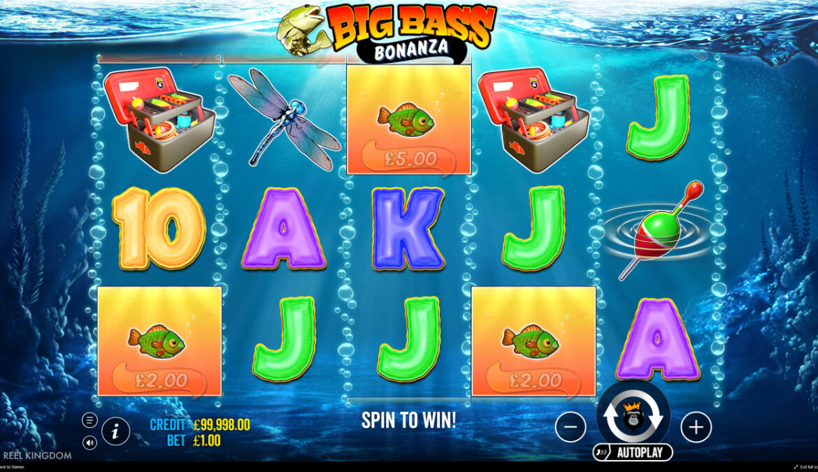 reel kingdom casino peli big bass bonanza